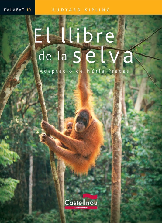 EL LLIBRE DE LA SELVA